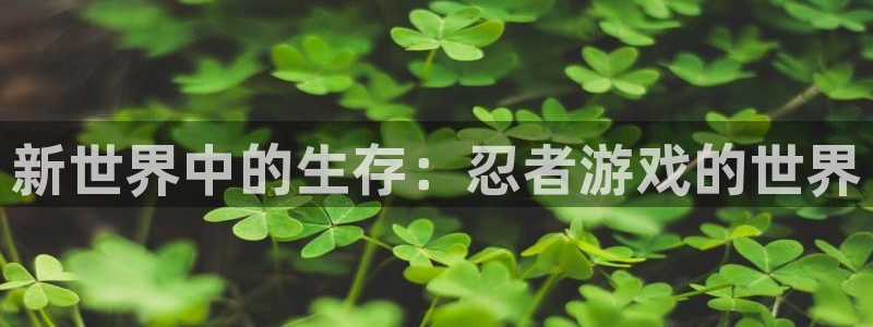 u8g和e8n哪个更值得买