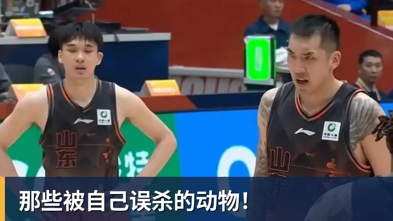 媒体人:赵继伟落选亚运会是对健康保护,杨瀚森则是要打NBA - nba竞猜手机在线官网 - nba竞猜中国